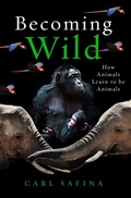Cover: Becoming Wild - Oneworld Publications