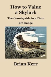 Enlarge image Cover: How to Value a Skylark - Eventispress
