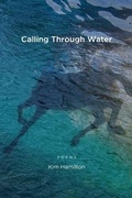 Cover: Calling Through Water - Tebot Bach