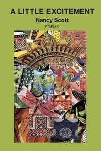 Enlarge image Cover: A Little Excitement - Kelsay Books