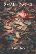 Cover: Small Favors - Kelsay Books