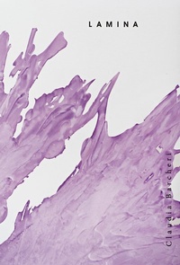 Enlarge image Cover: Claudia Barcheri - LAMINA - Kunstraum München