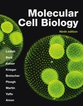 Cover: Molecular Cell Biology - W.H.Freeman & Co Ltd