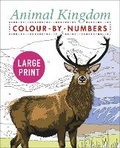 Cover: Large Print Animal Kingdom Colour-by-Numbers - Arcturus