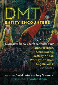 Enlarge image Cover: DMT Entity Encounters - Park Street Press,U.S.