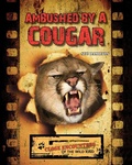 Cover: Ambushed by a Cougar - ABDO & Daughters