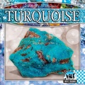 Cover: Turquoise - Checkerboard Library