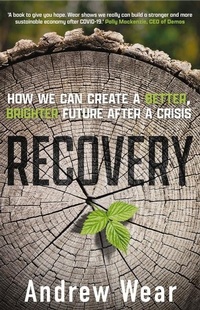 Enlarge image Cover: Recovery - Hero