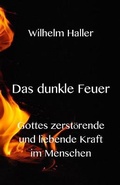 Cover: Das dunkle Feuer - Texianer Verlag