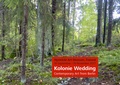Cover: Kolonie Wedding - Artbear Books
