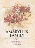 Cover: Field Guide to the Amaryllis Family of Southern Africa and Surrounding Territories - Graham Duncan