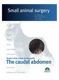 Abbildung von: The caudal abdomen. Small animal surgery - Servet