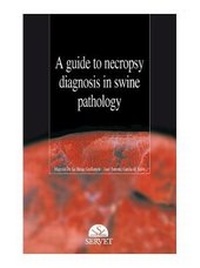 Abbildung von: A Guide to necropsy diagnosis in swine pathology - Servet