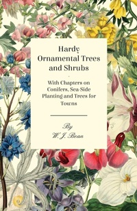 Abbildung von: Hardy Ornamental Trees and Shrubs - With Chapters on Conifers, Sea-side Planting and Trees for Towns - Read Books Ltd.