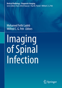 Abbildung von: Imaging of Spinal Infection - Springer
