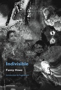 Cover: Indivisible, new edition - Semiotext(e)