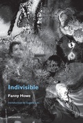 Cover: Indivisible, new edition - Semiotext (E)