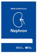 Cover: Nephron-Poster - MEDI-LEARN