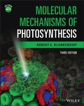 Abbildung von: Molecular Mechanisms of Photosynthesis - Wiley