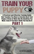 Cover: Train your Puppy - BOOKLY LTD