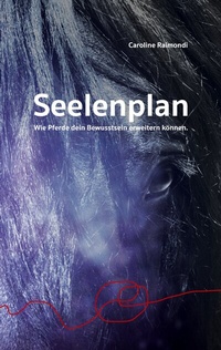Abbildung von: Seelenplan - BoD - Books on Demand