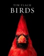 Cover: Birds - Abrams