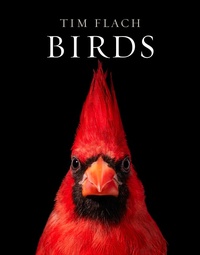 Enlarge image Cover: Birds - Abrams