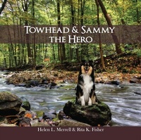 Abbildung von: Towhead and Sammy The Hero - Global Summit House