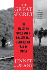 Enlarge image Cover: The Great Secret - WW Norton & Co