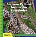 Cover: Burmese Pythons Invade the Everglades - Cherry Lake Publishing