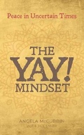 Cover: The YAY! Mindset - Moshpit Publishing