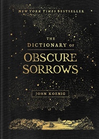 Abbildung von: The Dictionary of Obscure Sorrows - Simon & Schuster