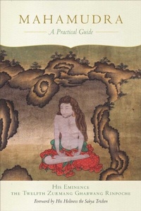 Abbildung von: Mahamudra - Wisdom Publications