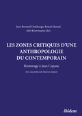 Cover: Les zones critiques d'une anthropologie du contemporain - ibidem