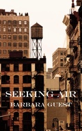 Cover: Seeking Air - Grand Iota