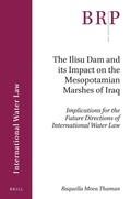 Abbildung von: The Ilisu Dam and its Impact on the Mesopotamian Marshes of Iraq - Brill