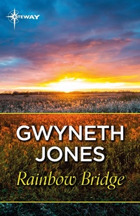 Enlarge image Cover: Rainbow Bridge - GATEWAY