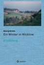 Cover: Ein Winter in Wicklow - tredition