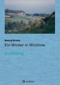 Cover: Ein Winter in Wicklow - tredition