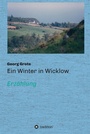 Cover: Ein Winter in Wicklow - tredition
