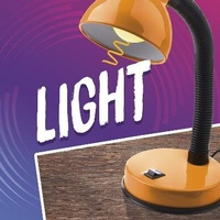 Enlarge image Cover: Light - Raintree