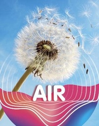 Enlarge image Cover: Air - Raintree