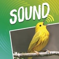 Cover: Sound - Raintree