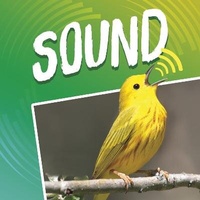 Enlarge image Cover: Sound - Raintree