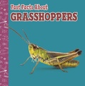 Cover: Fast Facts About Grasshoppers - Raintree