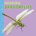 Cover: Fast Facts About Dragonflies - Raintree