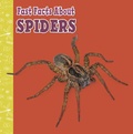 Cover: Fast Facts About Spiders - Raintree