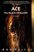 Cover: Ace The Black Stallion (Mystery Horse Lover's Series, #1) - Mystery Horse Lover's Series