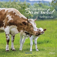 Abbildung von: Tiere auf dem Bauernhof 2022 - Korsch Verlag