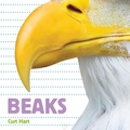 Cover: Beaks - Flowerpot Press